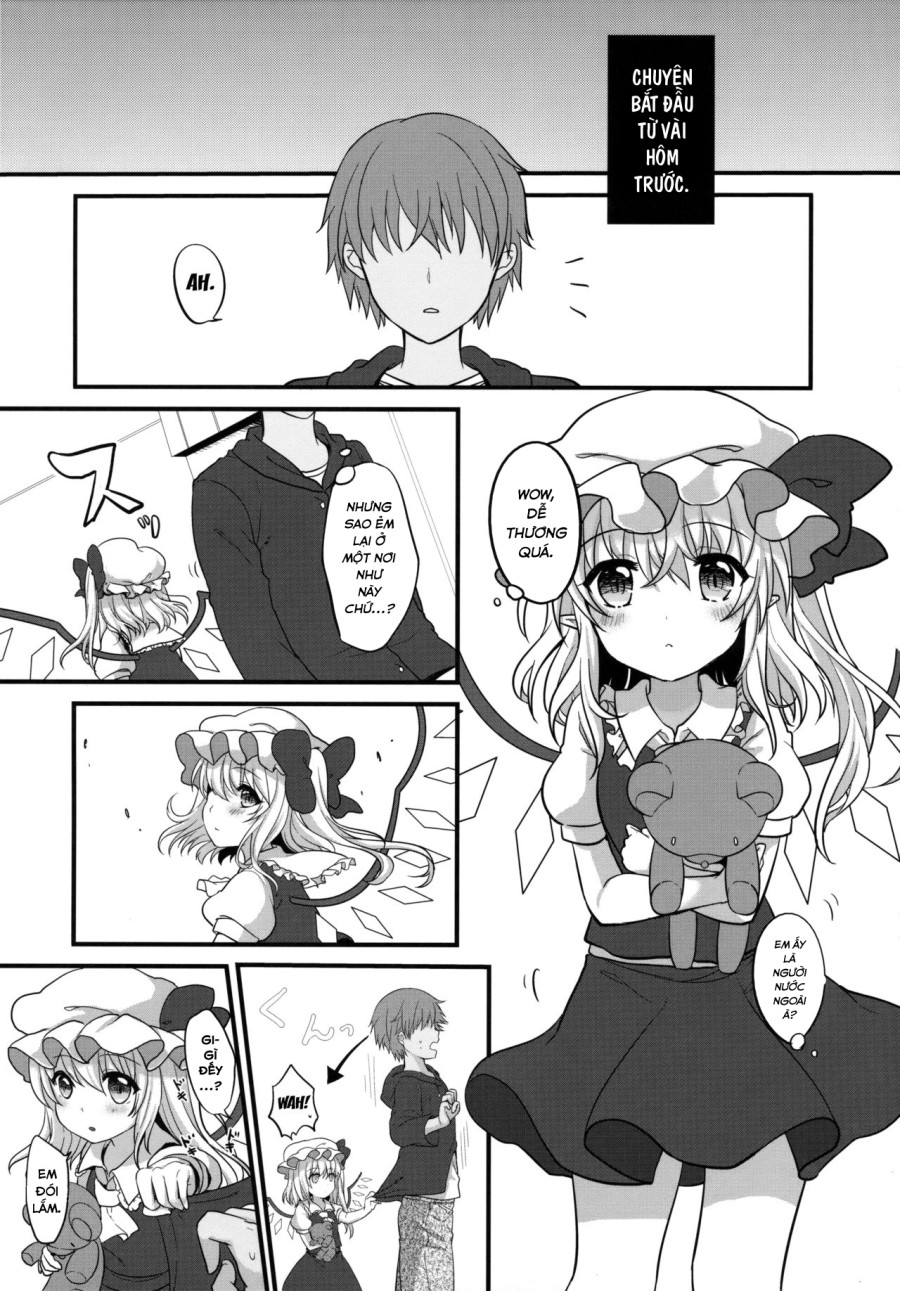 Aru Hi Flan-chan o Hirottekita. (Touhou Project) 