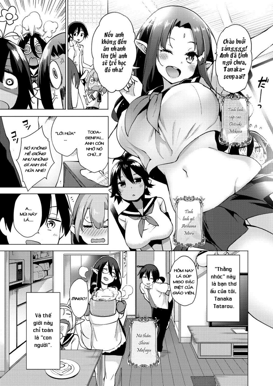 Yousei Harem Daibakuhatsu 