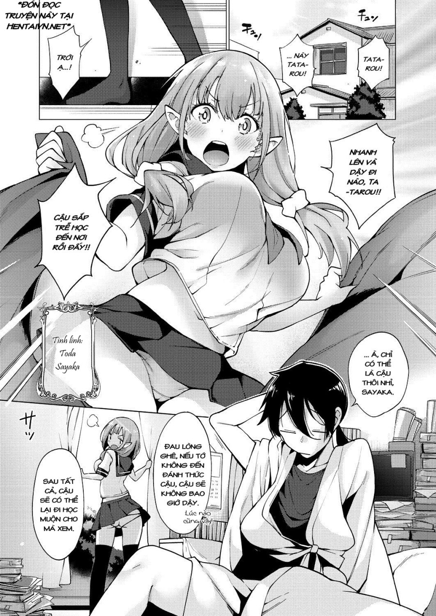 Yousei Harem Daibakuhatsu 