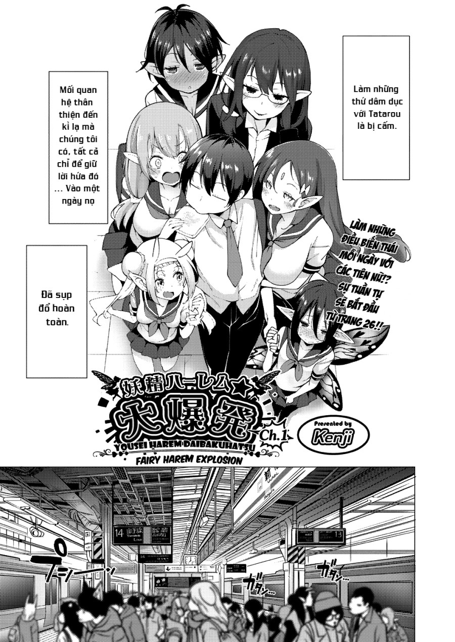 Yousei Harem Daibakuhatsu 