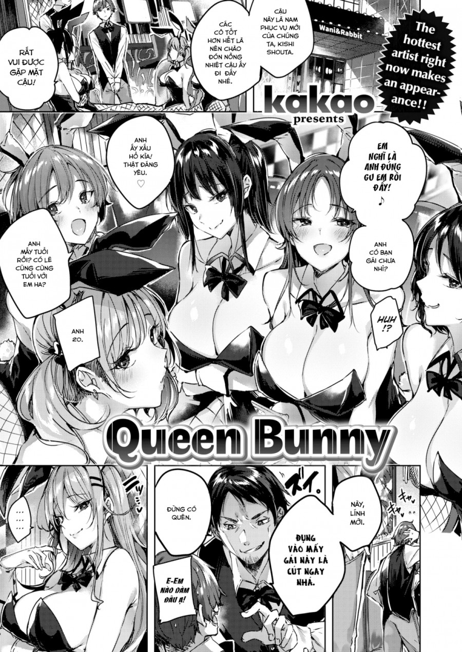 Queen Bunny 