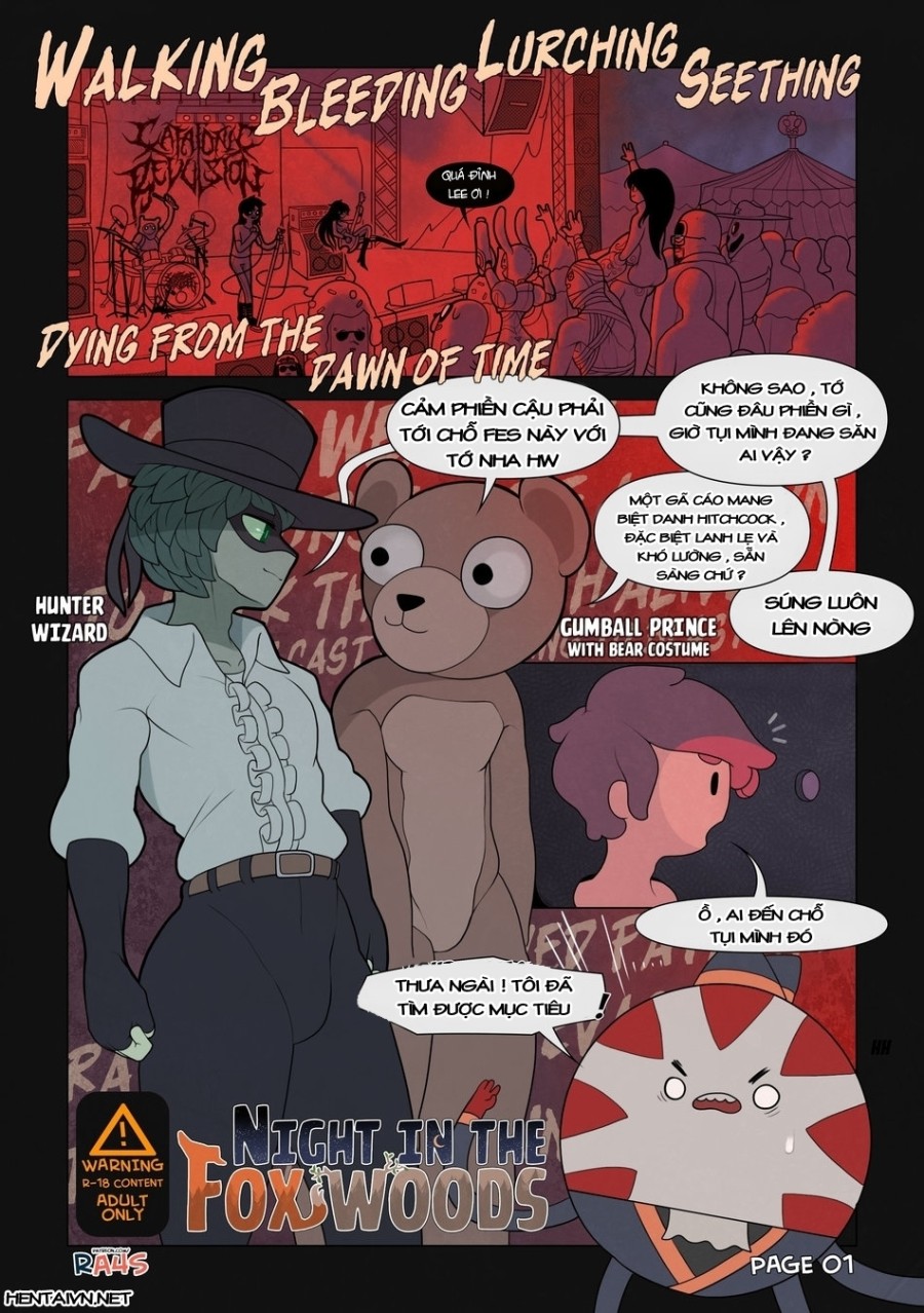 Night In The Fox Woods 