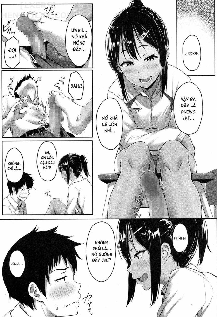 Seishun Scheme 