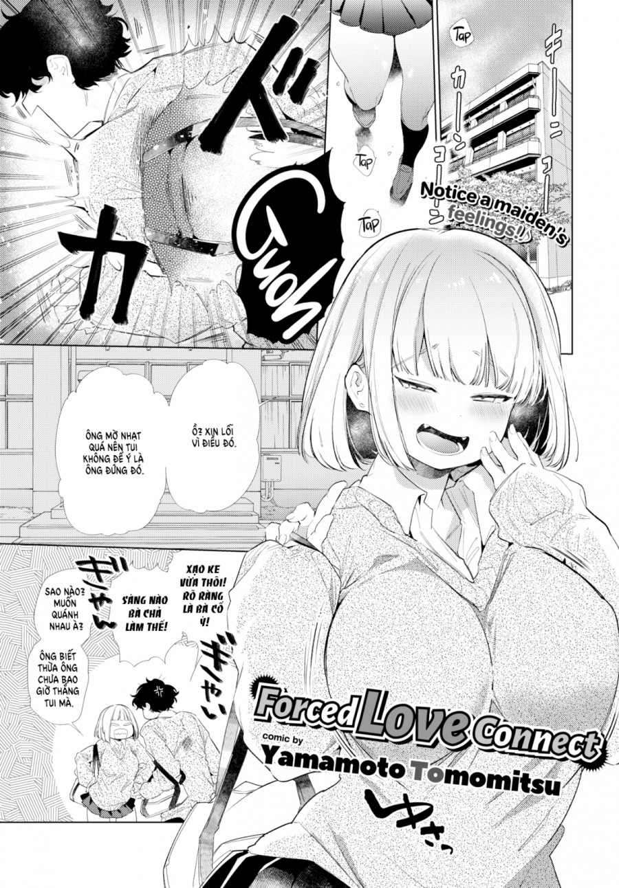 Forced Love Connect 