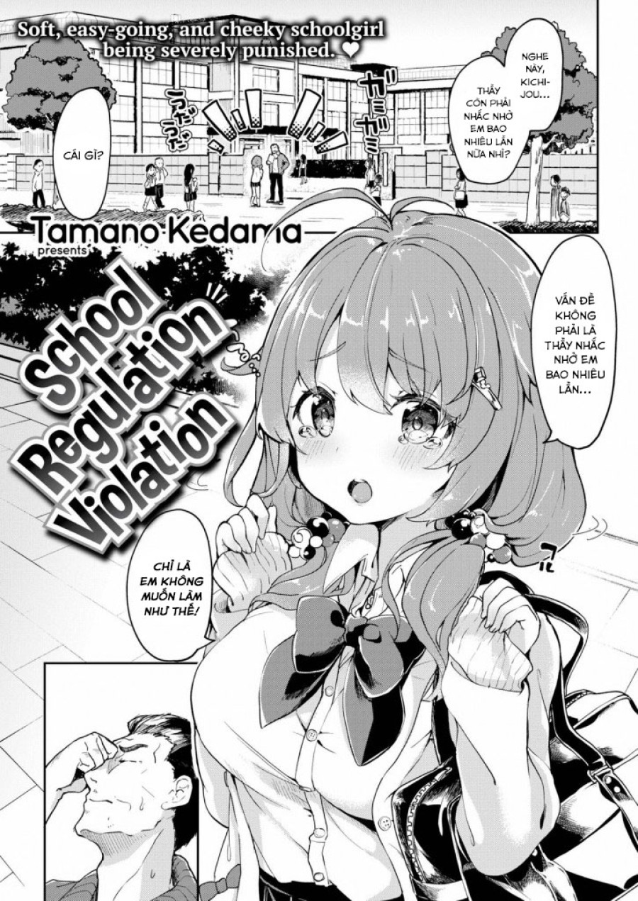 School Regulation Violation 