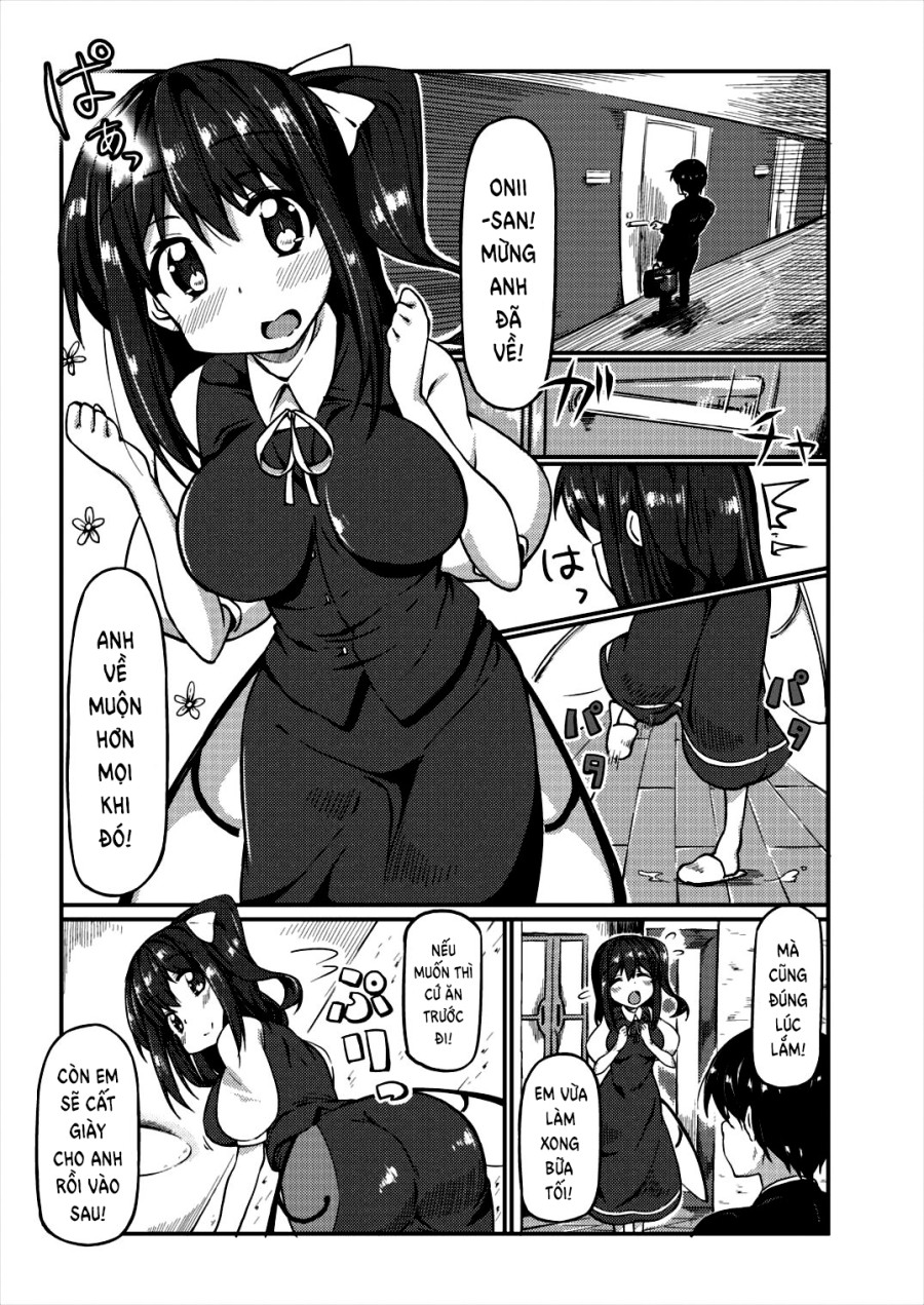 Dairyousai-chan to Ecchi Suru Hon (Touhou Project) 