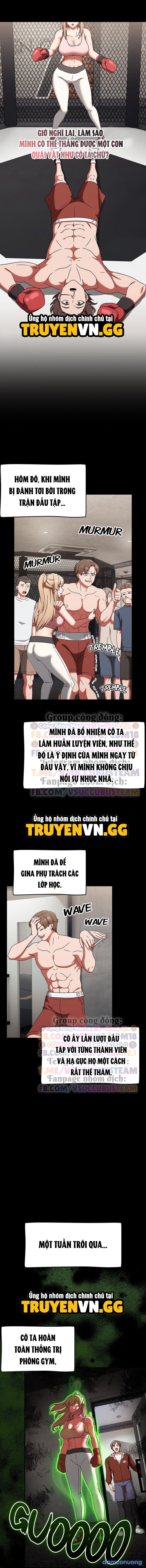 Máy Dập Boxing 