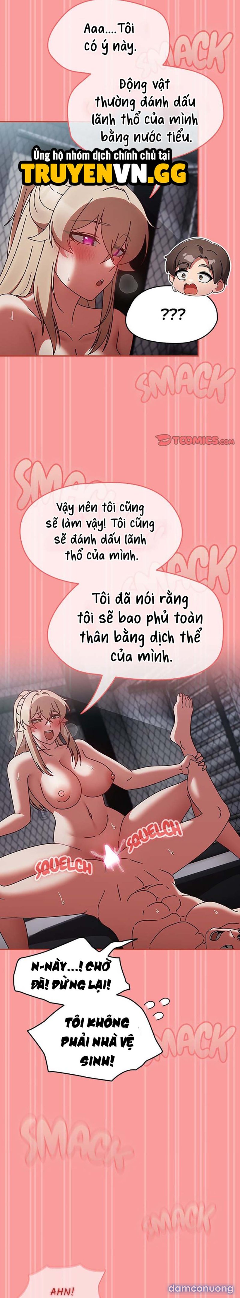 Máy Dập Boxing 