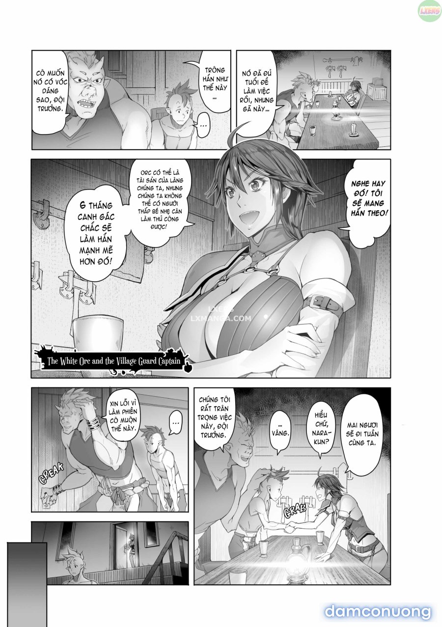 Maidens of Steel 