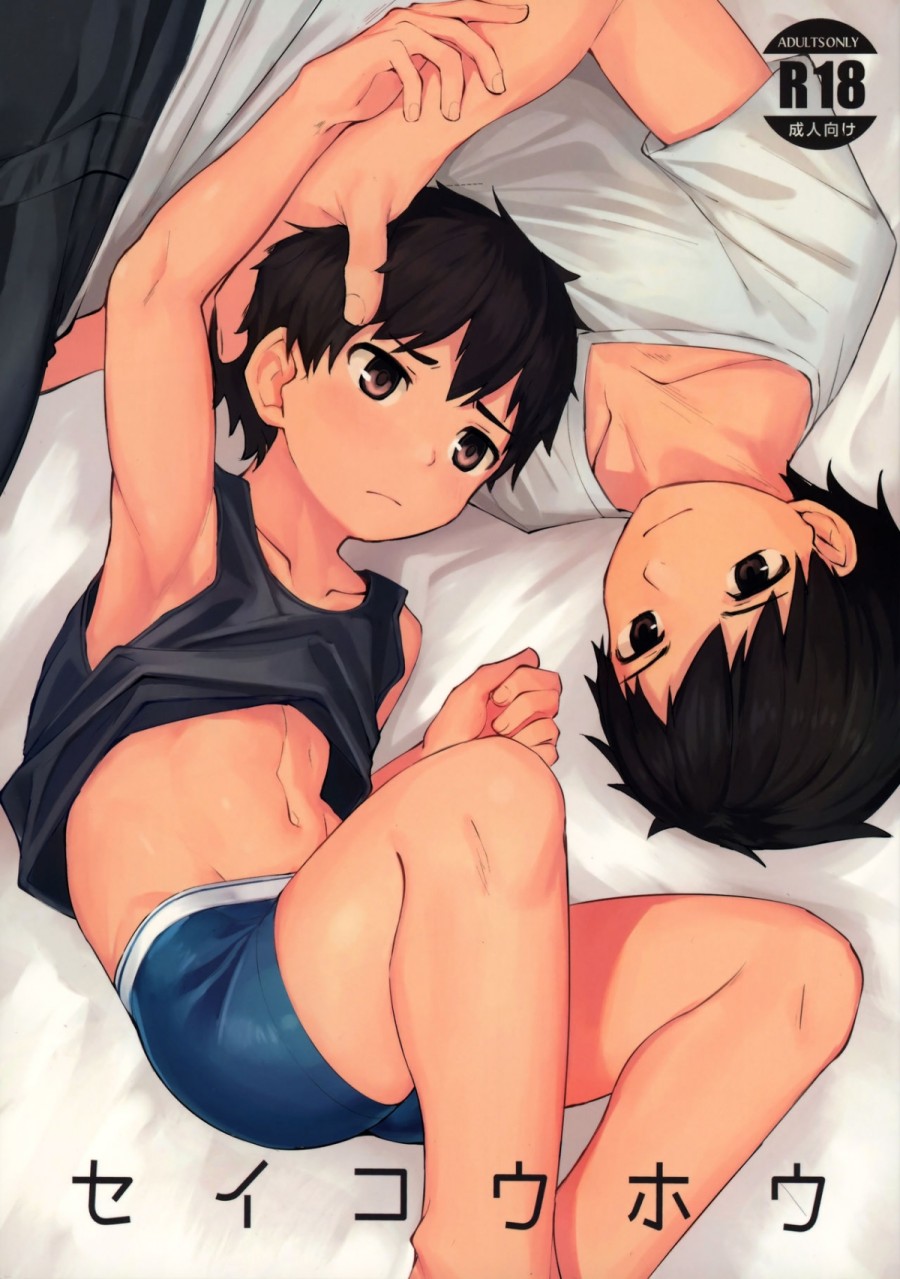 Seikouhou 