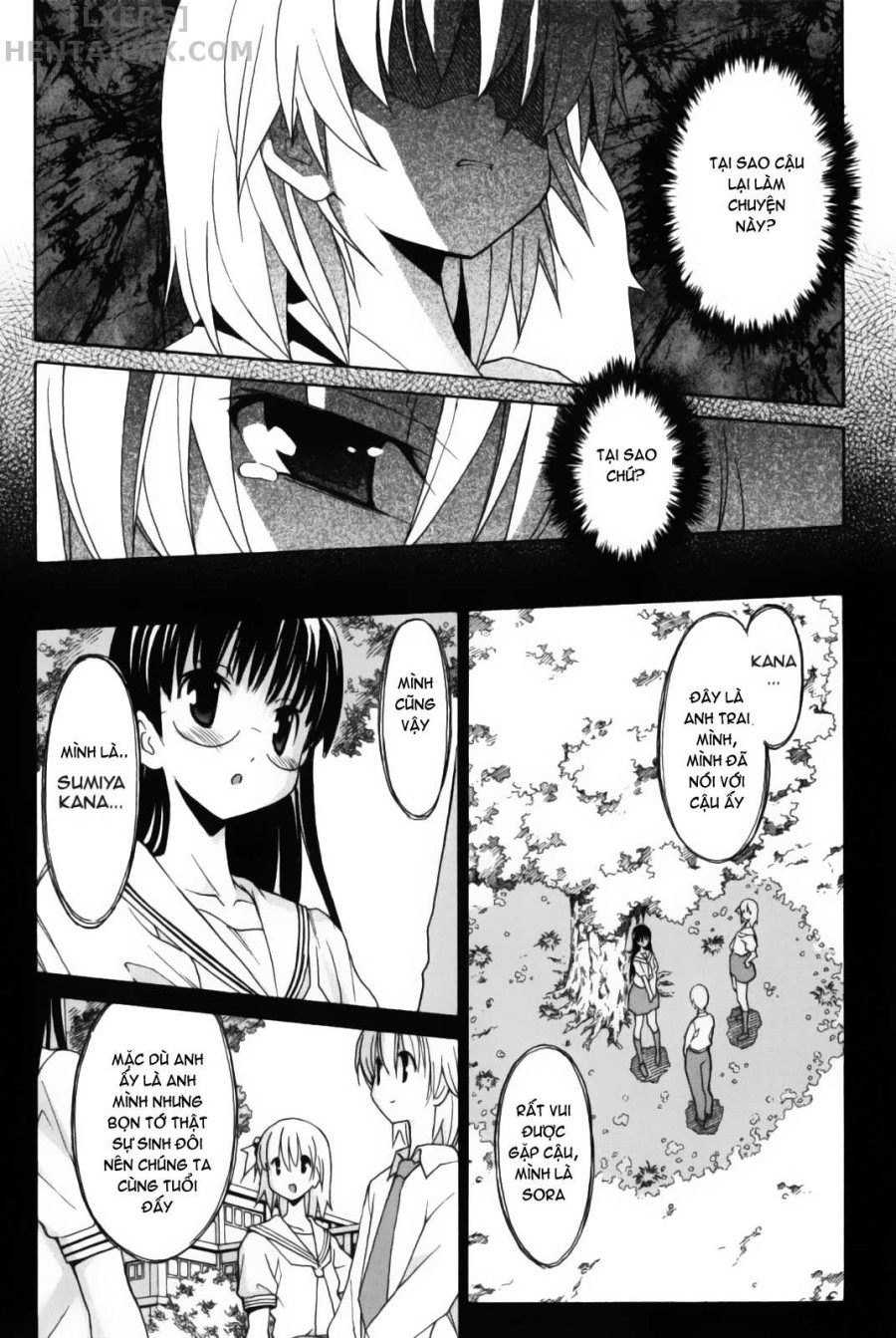Aki no Sora 