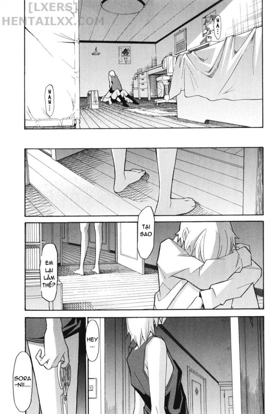 Aki no Sora 