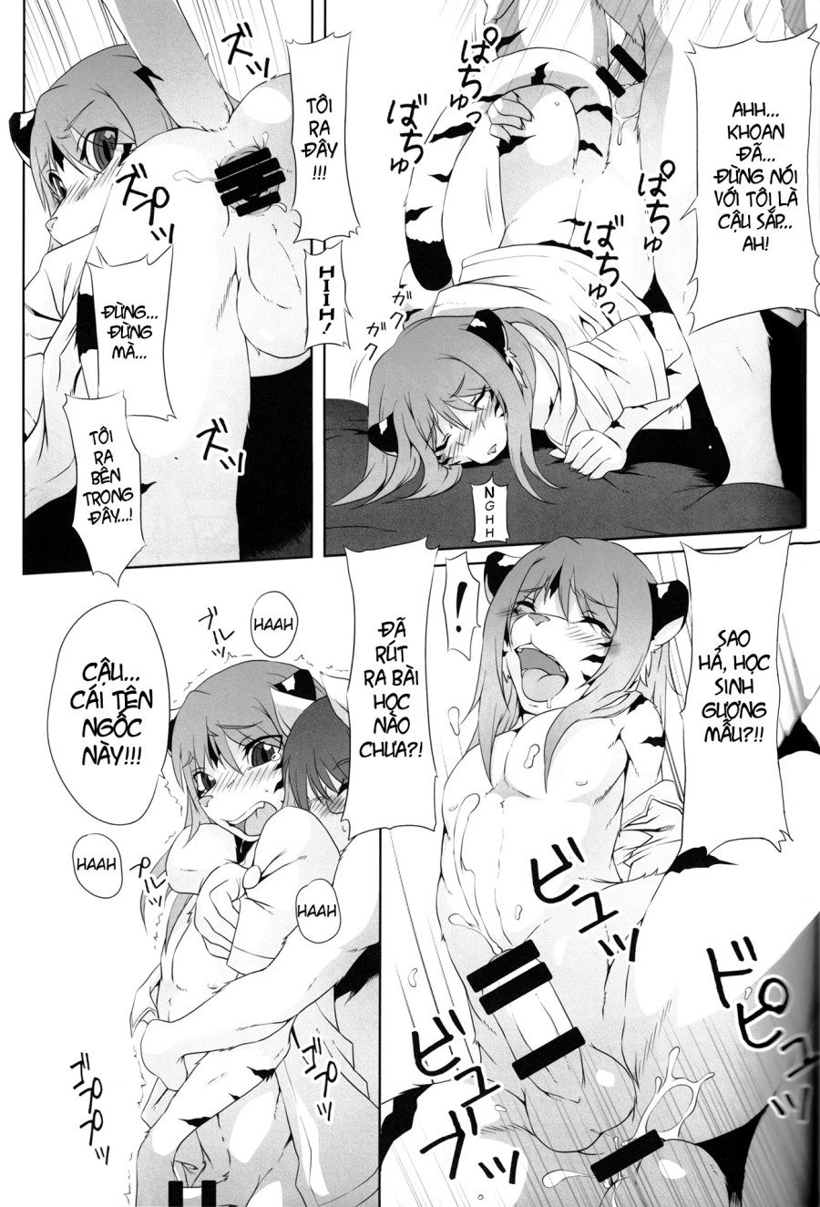 Femboy book 