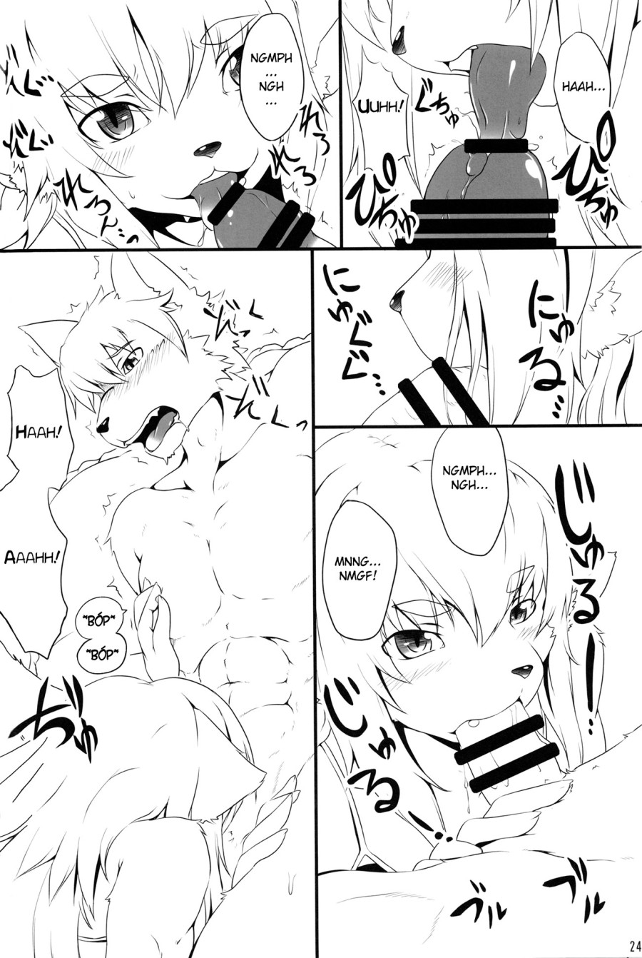 Femboy book 