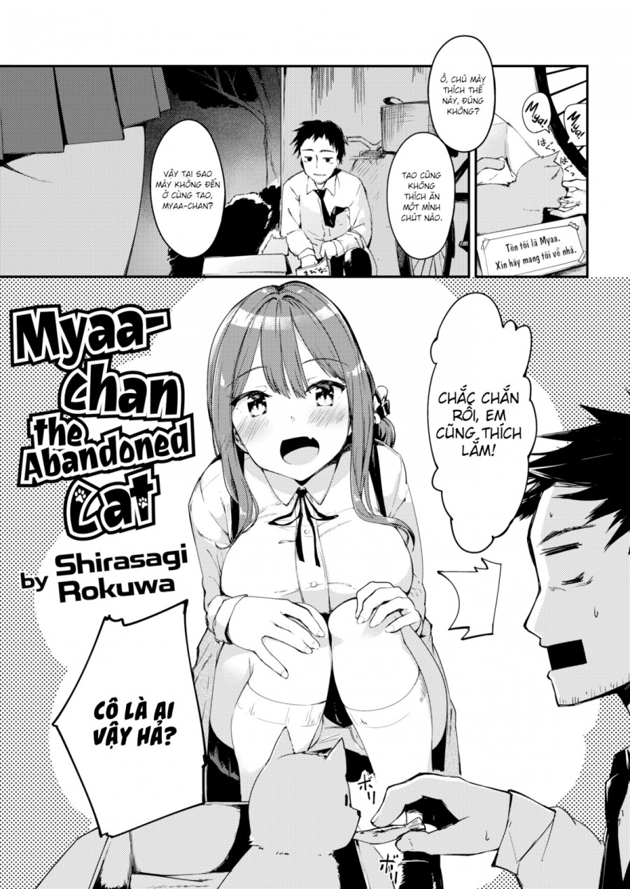 Miyaa-chan Chú mèo bị bỏ rơi 
