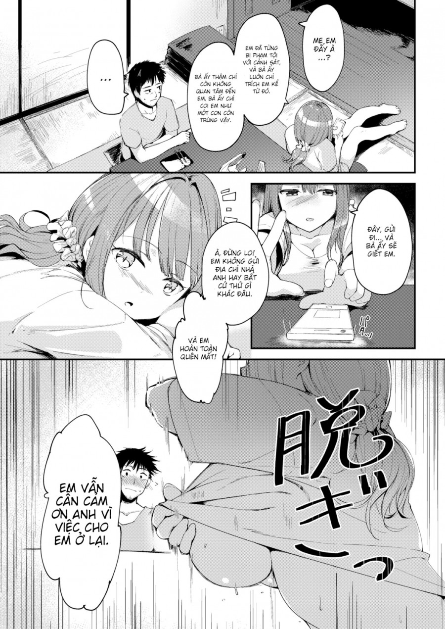 Miyaa-chan Chú mèo bị bỏ rơi 