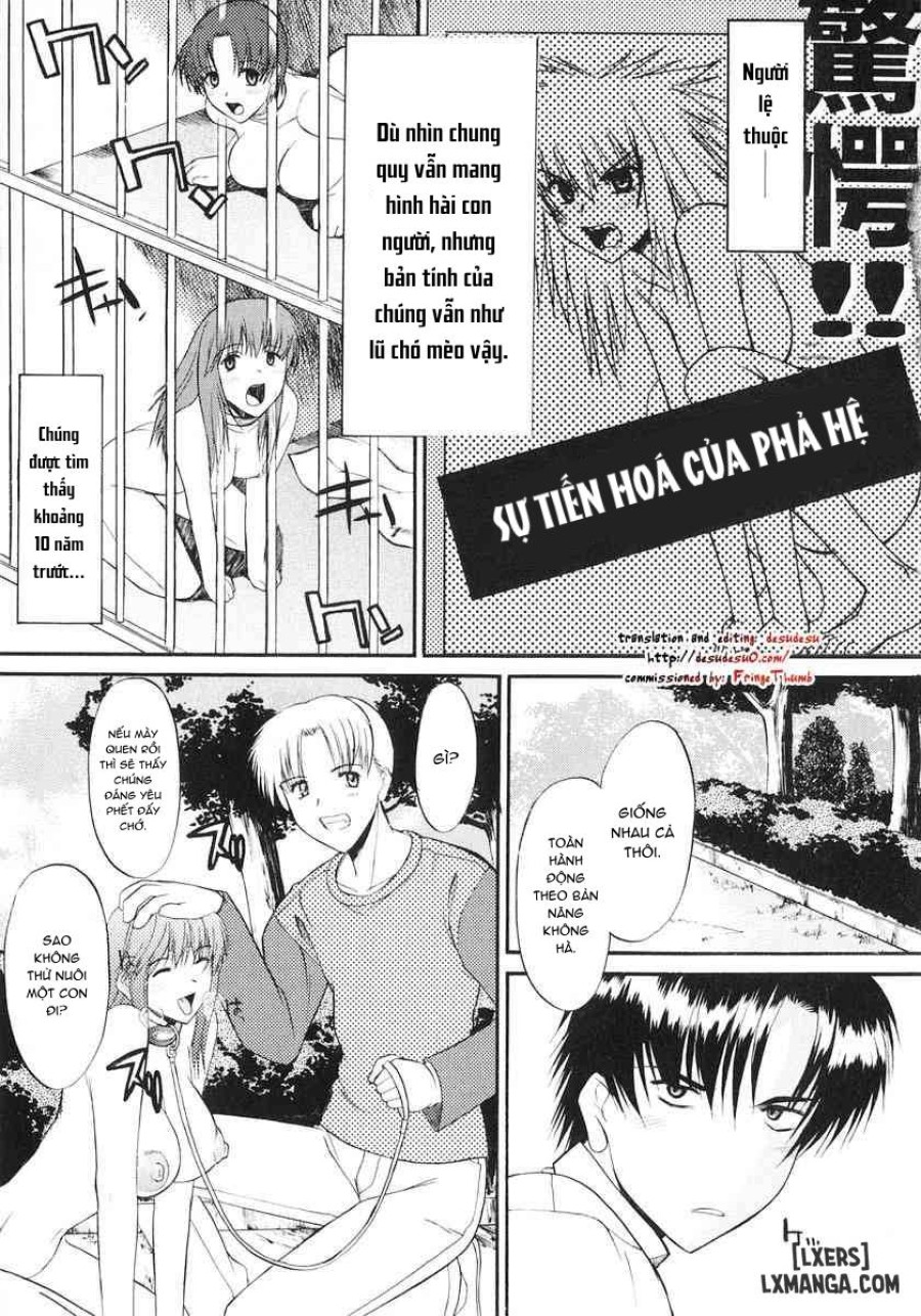 Ane Inu 