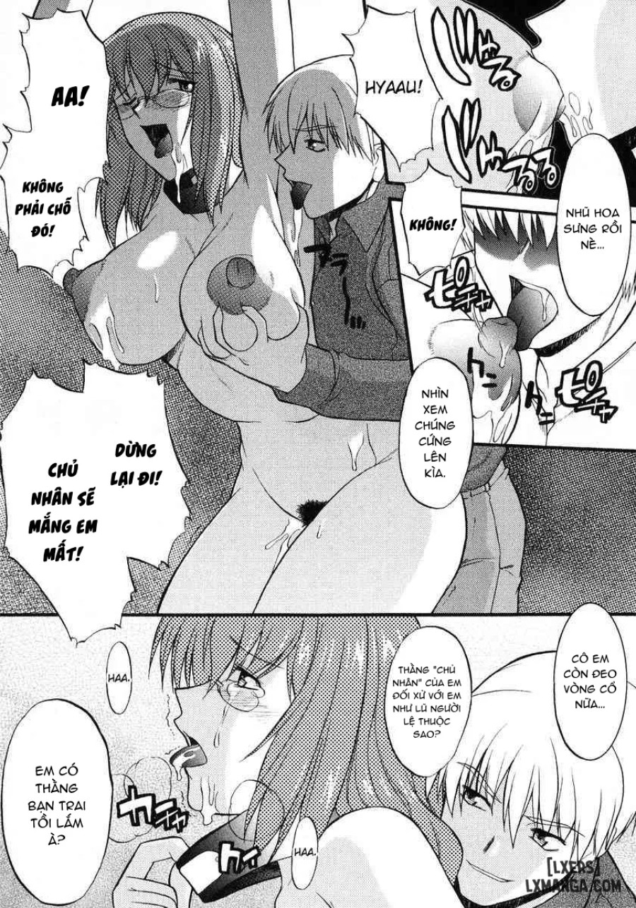 Ane Inu 