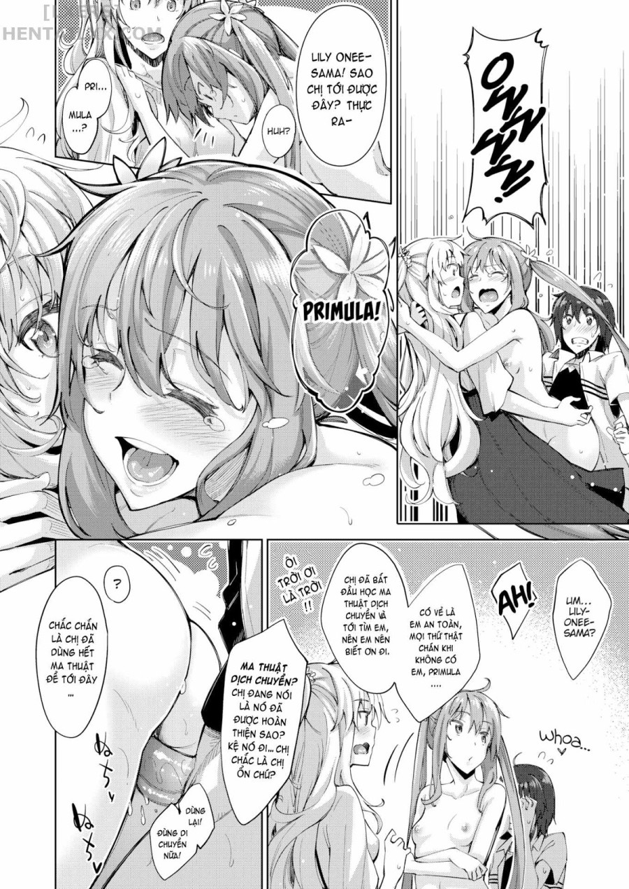 Shiki Oriori 