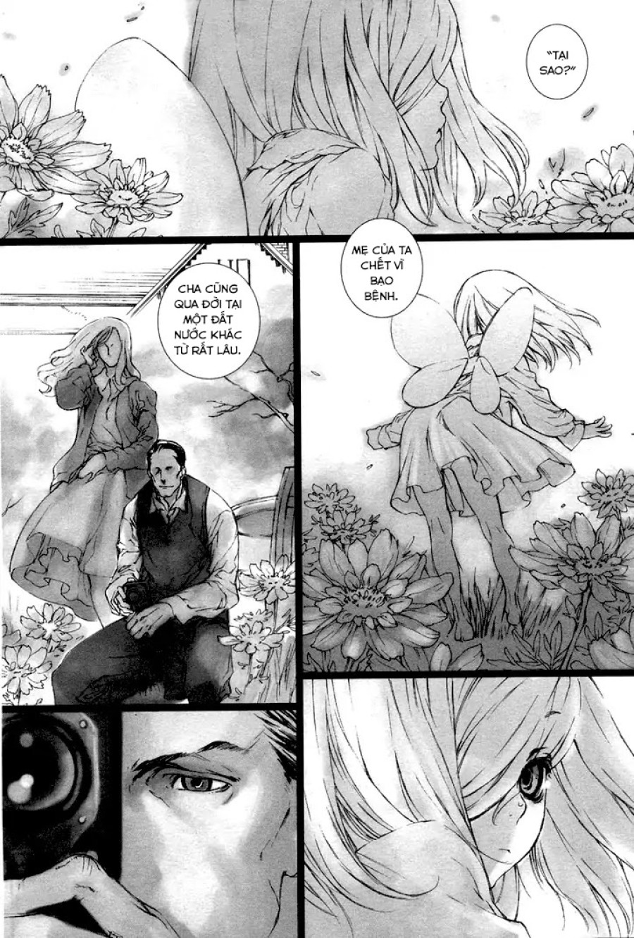 Fairy Gone Garden 