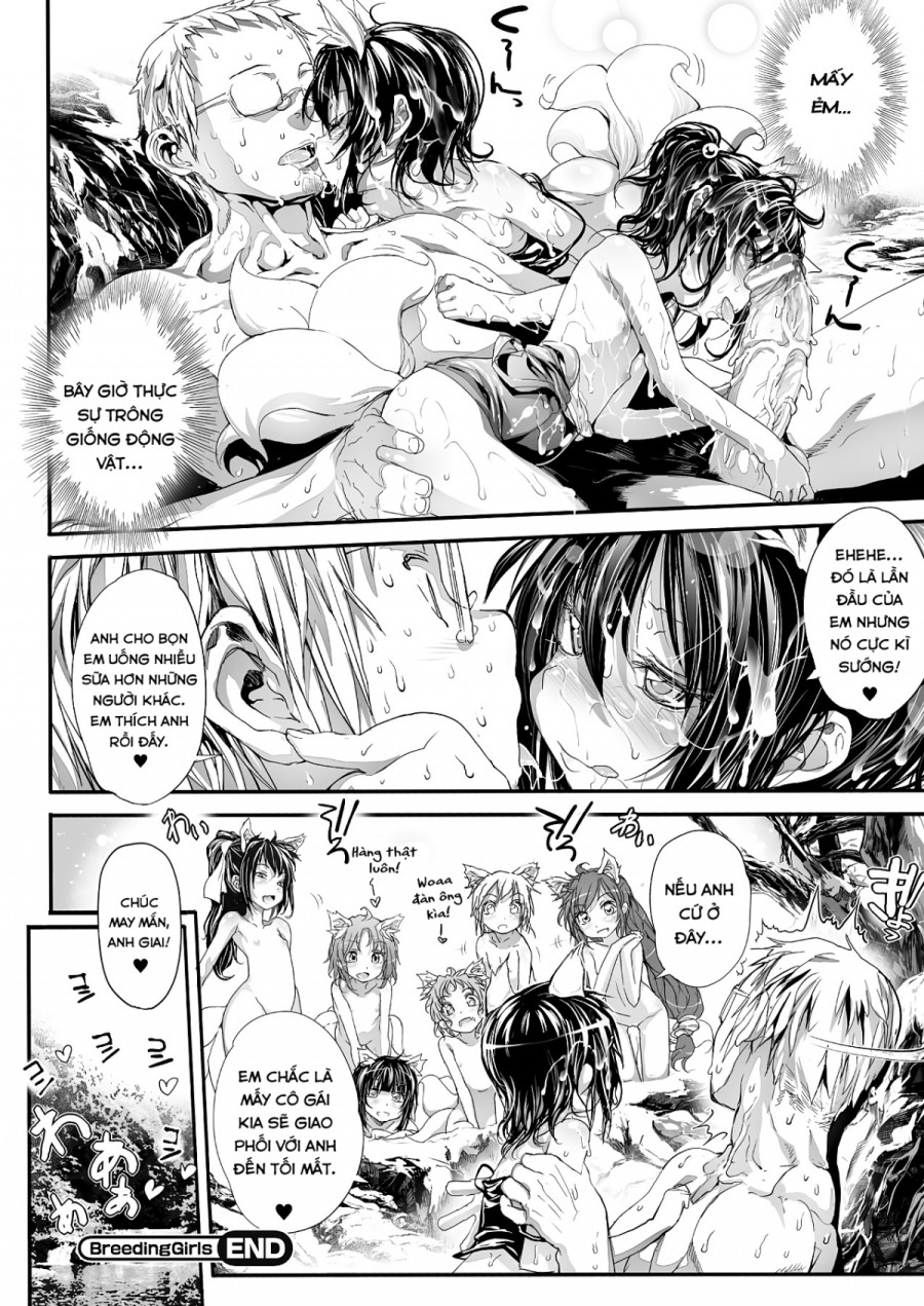 Breeding Girls 