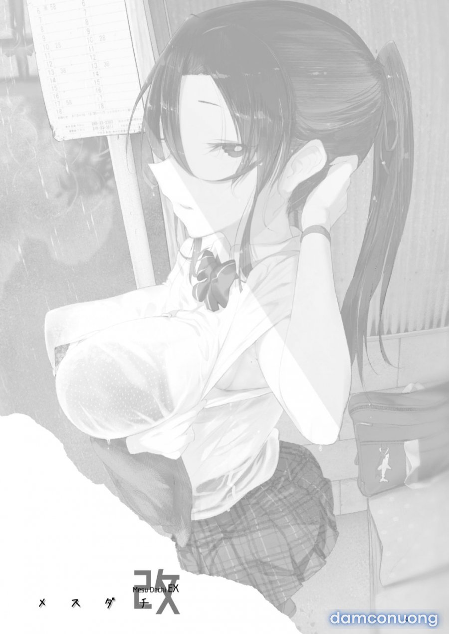 Mesudachi The Series 