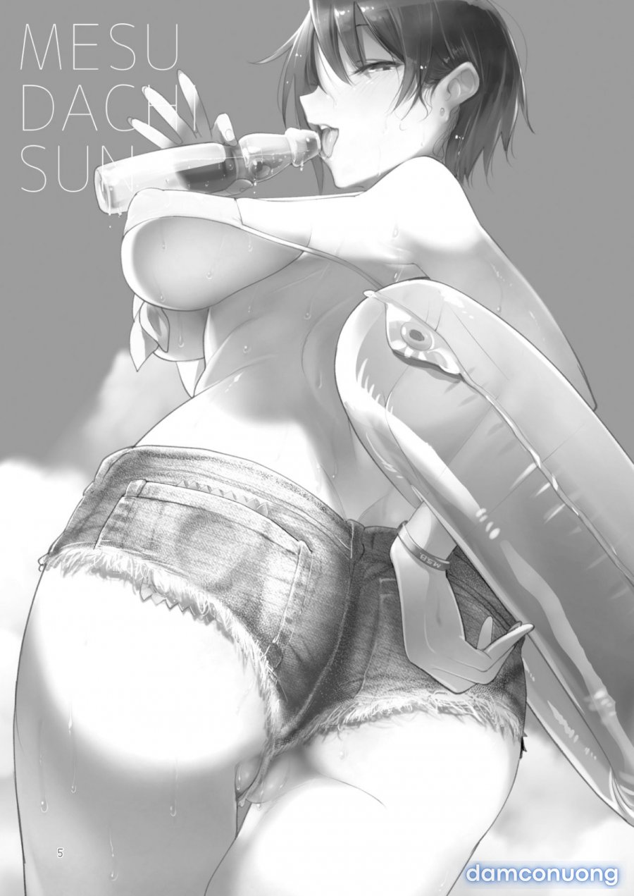 Mesudachi The Series 
