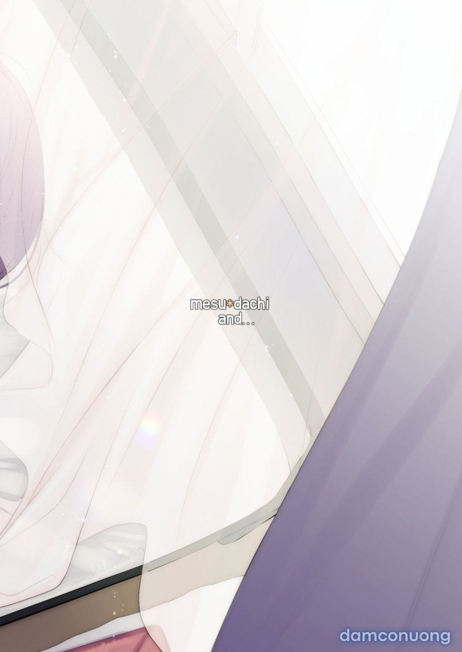 Mesudachi The Series 