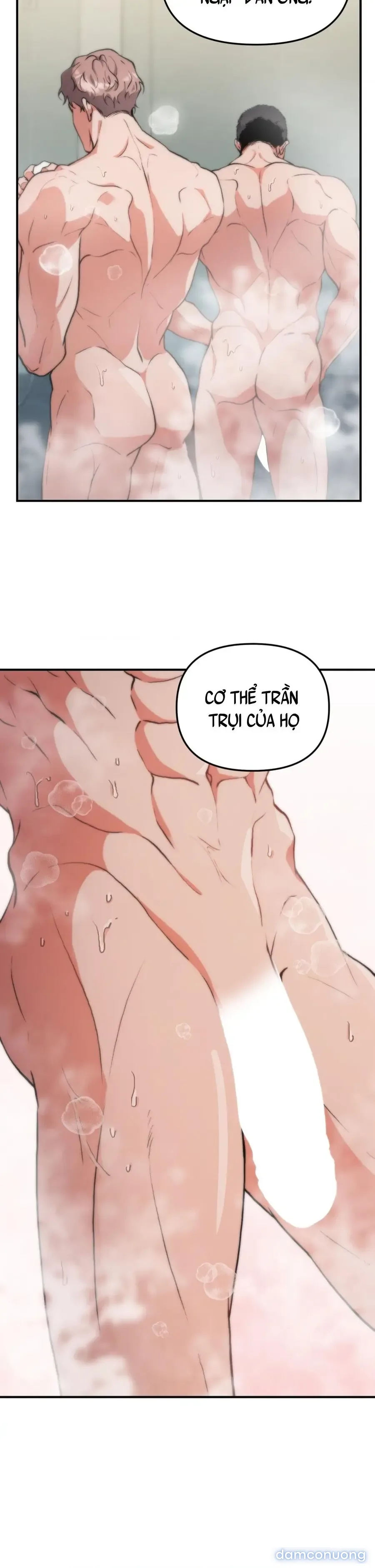 Tuyển Tập XX Công Cộng 