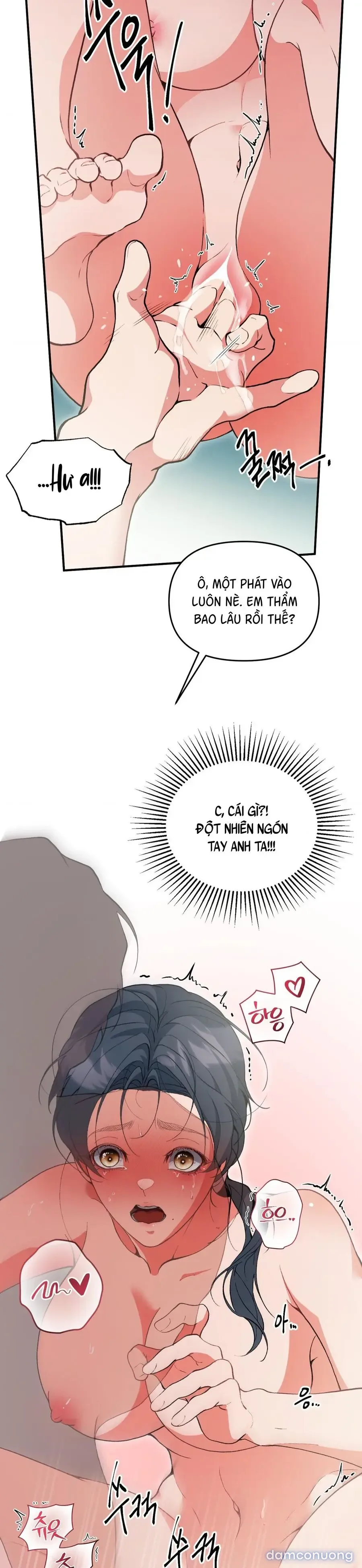 Tuyển Tập XX Công Cộng 