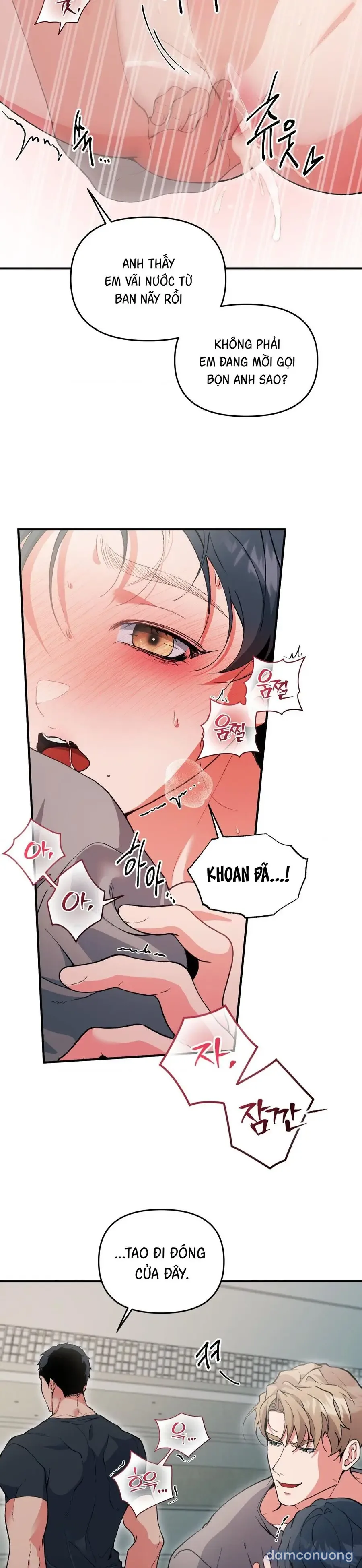 Tuyển Tập XX Công Cộng 