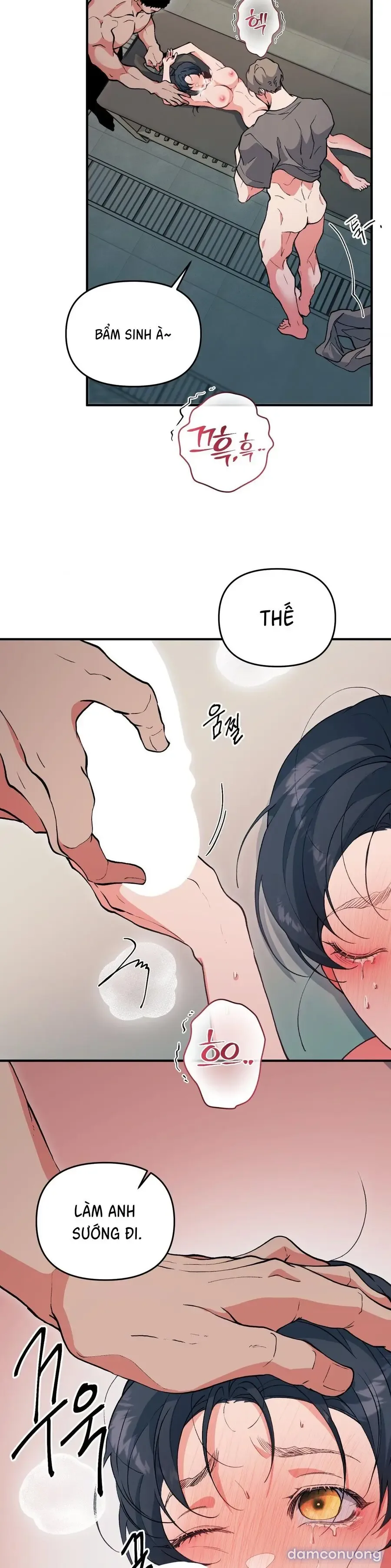 Tuyển Tập XX Công Cộng 