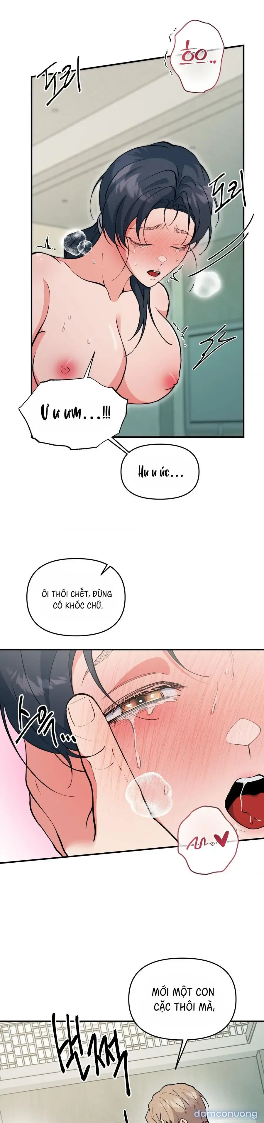 Tuyển Tập XX Công Cộng 