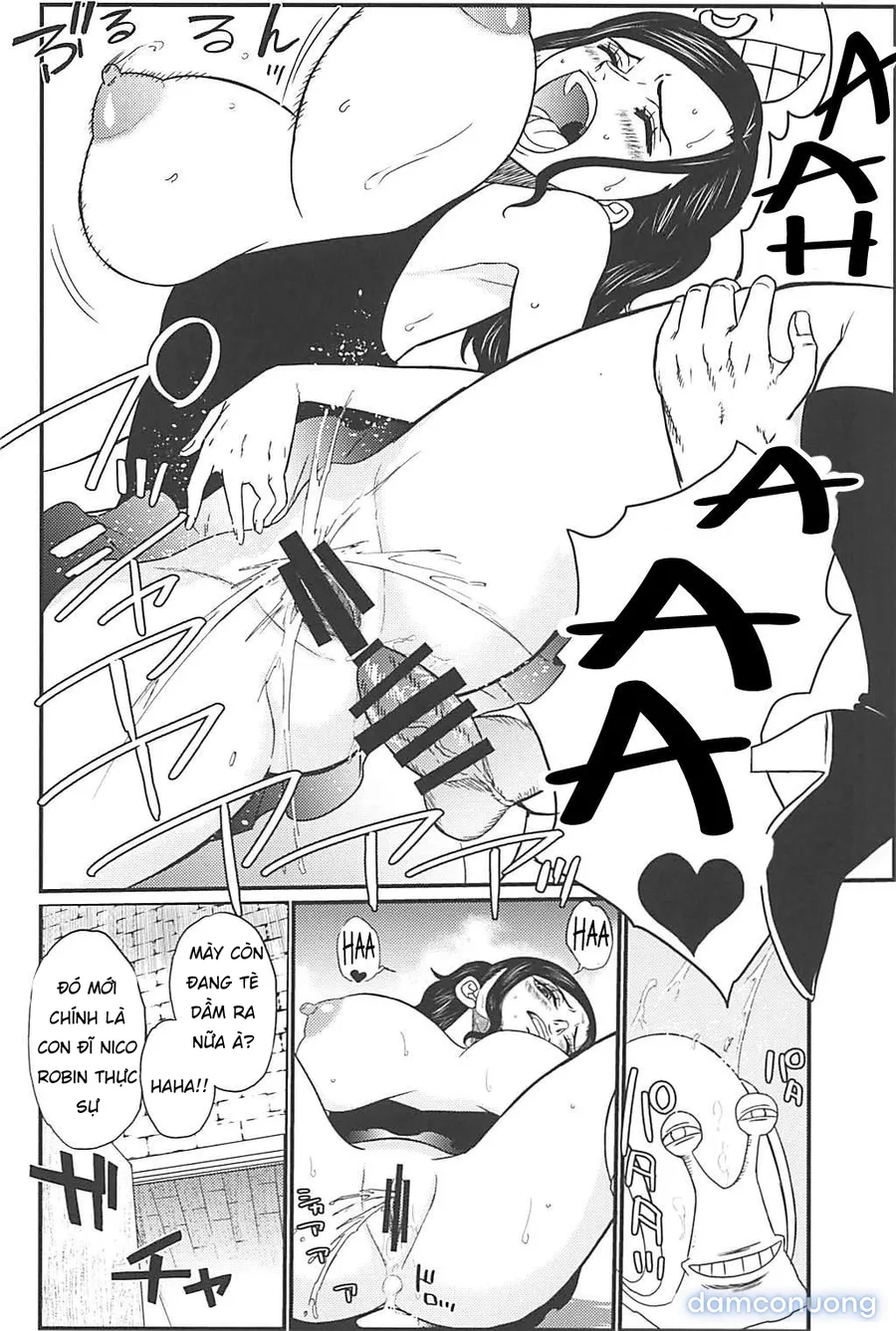 ROBIN'S HOLE (One Piece) 