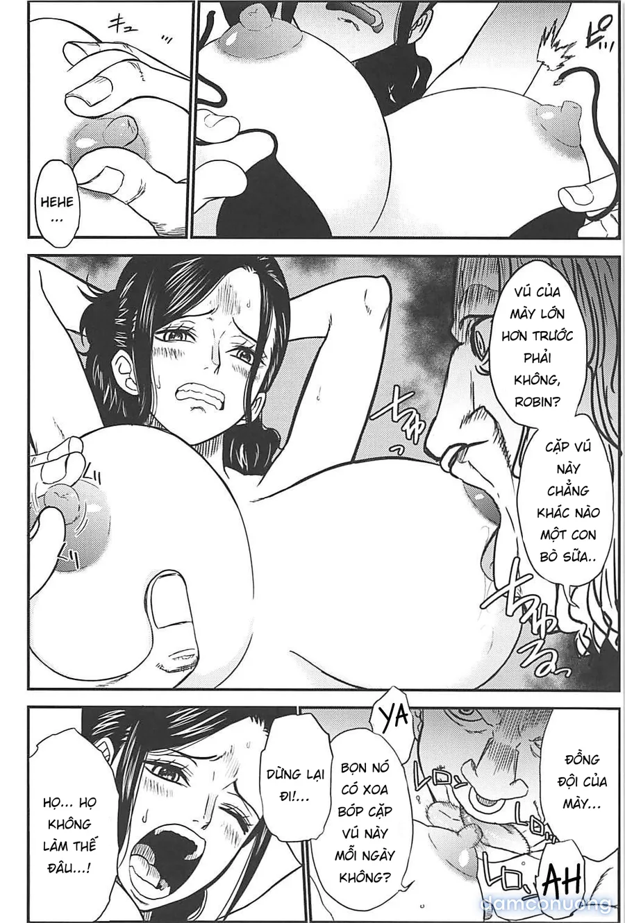 ROBIN'S HOLE (One Piece) 