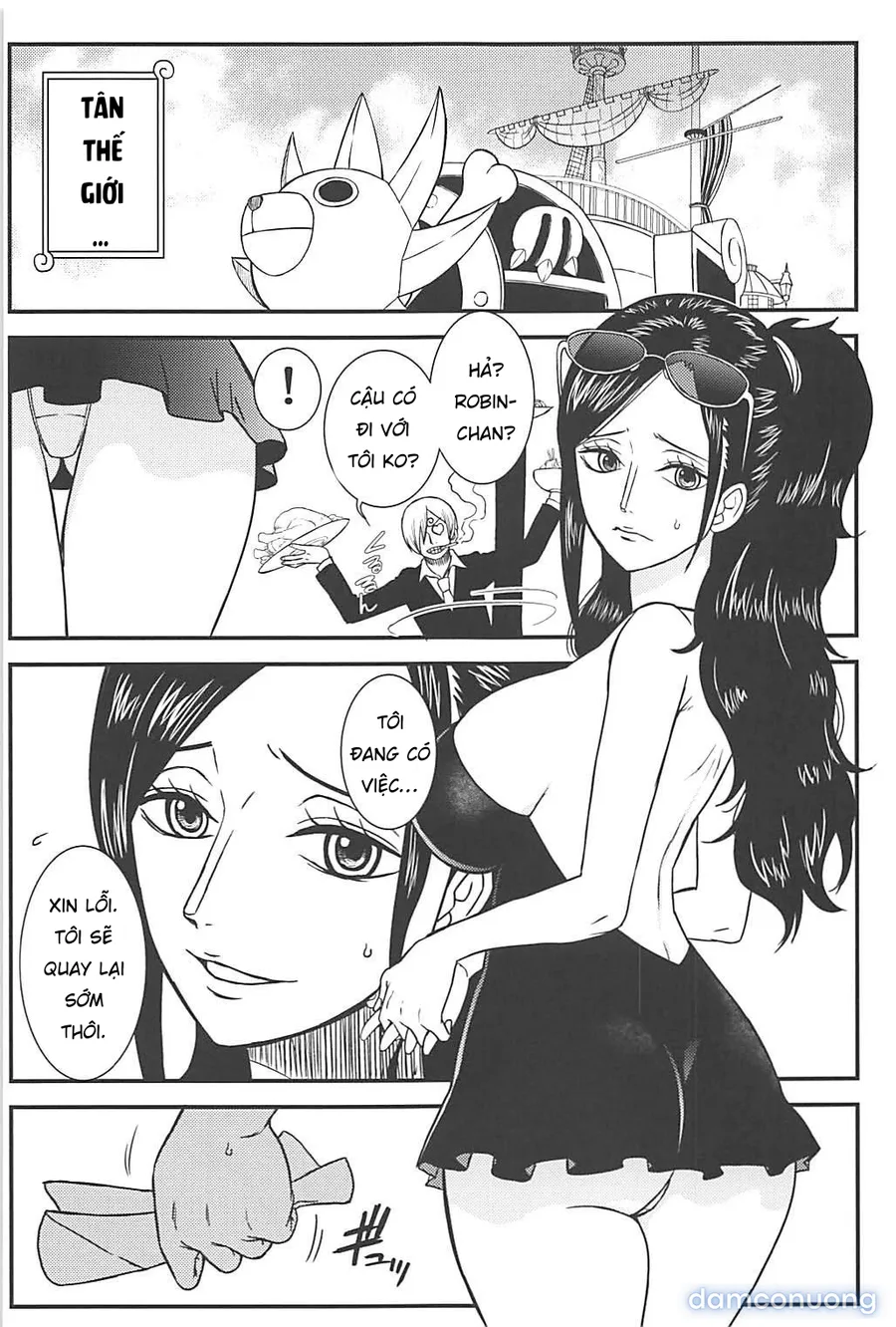 ROBIN'S HOLE (One Piece) 