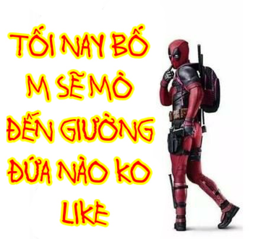 Lời xin lỗi lộn xộn 2 hậu quả 