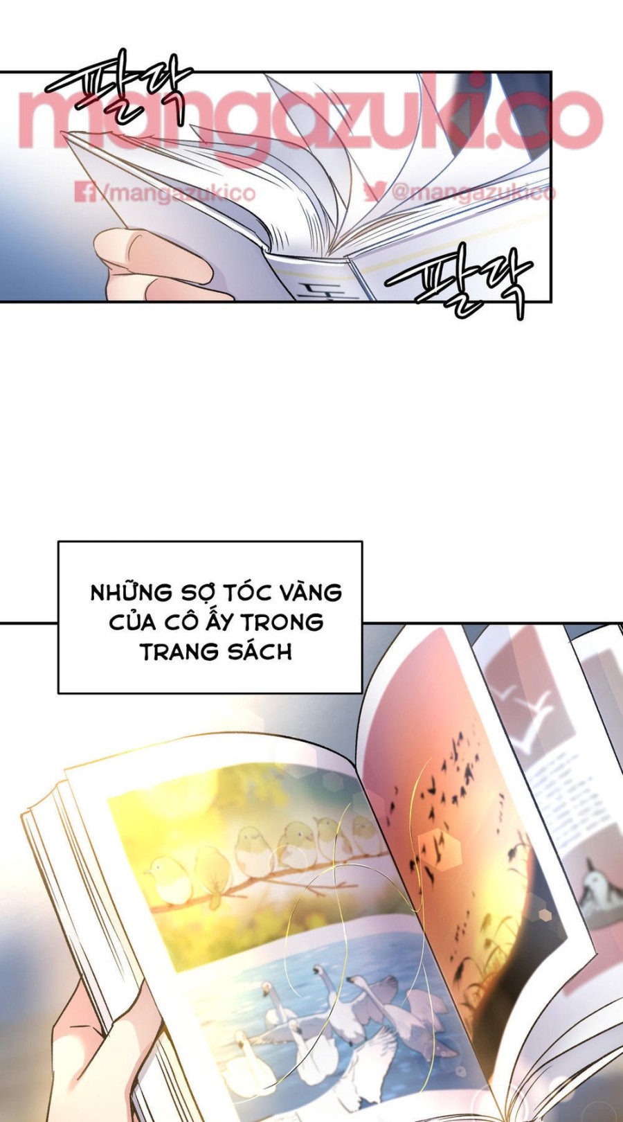 Dõi theo tình đầu 