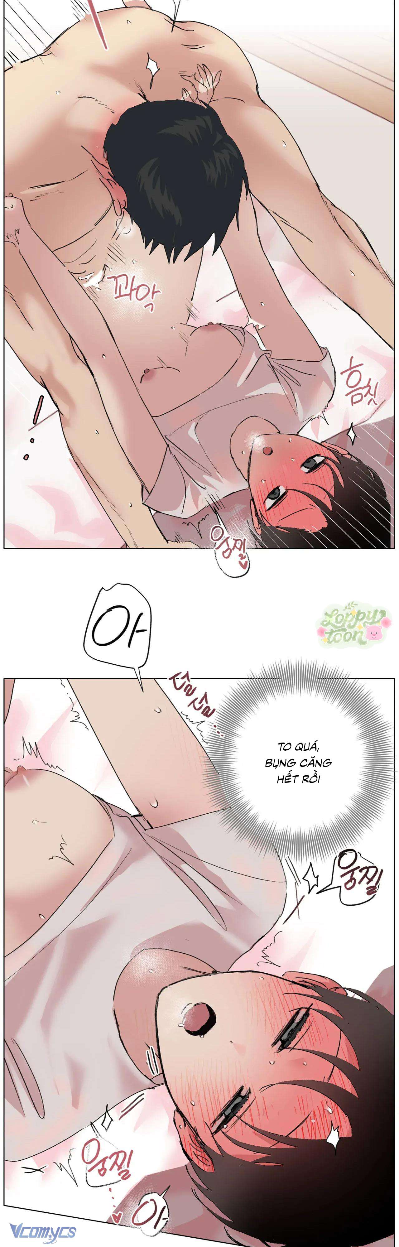 Nước Mắt Ngọt Ngào 