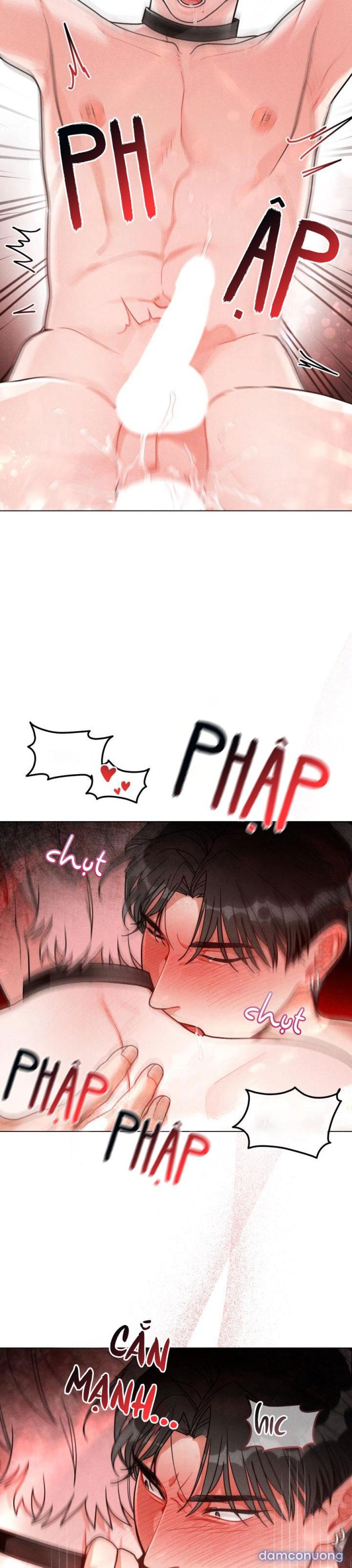 CUỘC GỌI BÍ MẬT 