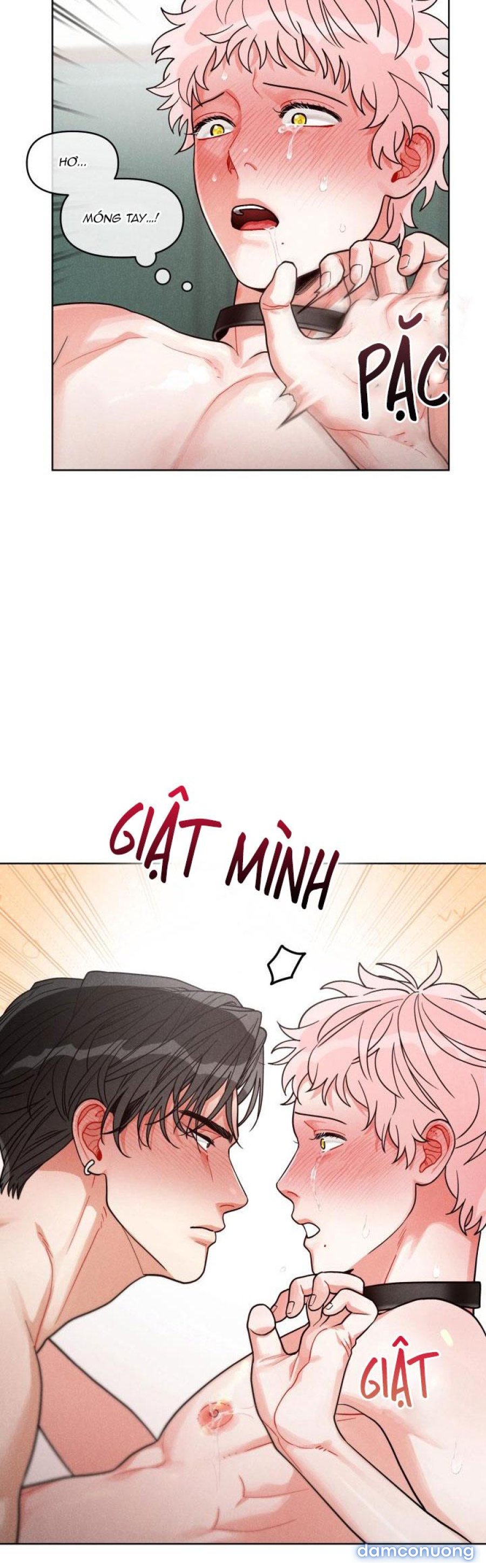 CUỘC GỌI BÍ MẬT 