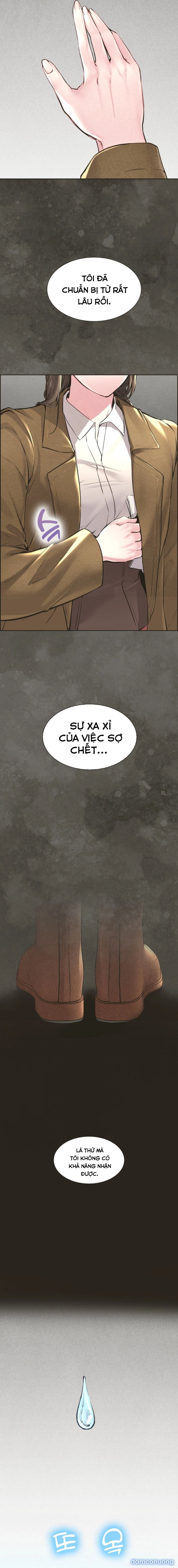 Căn Hộ Hiện Đại 