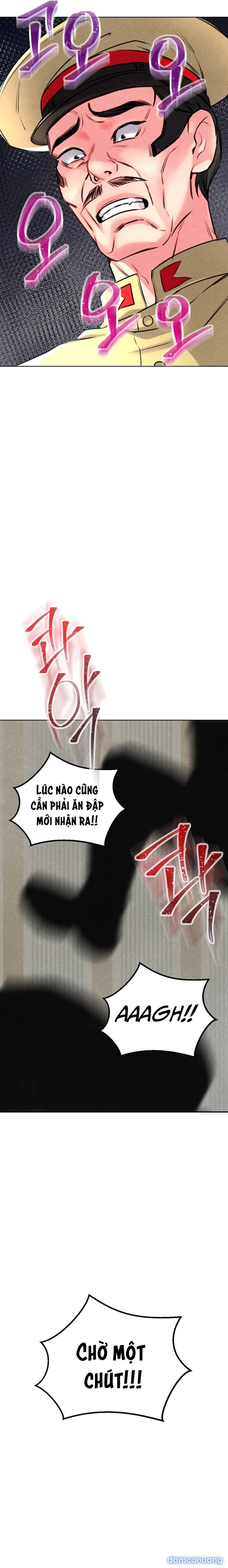Căn Hộ Hiện Đại 