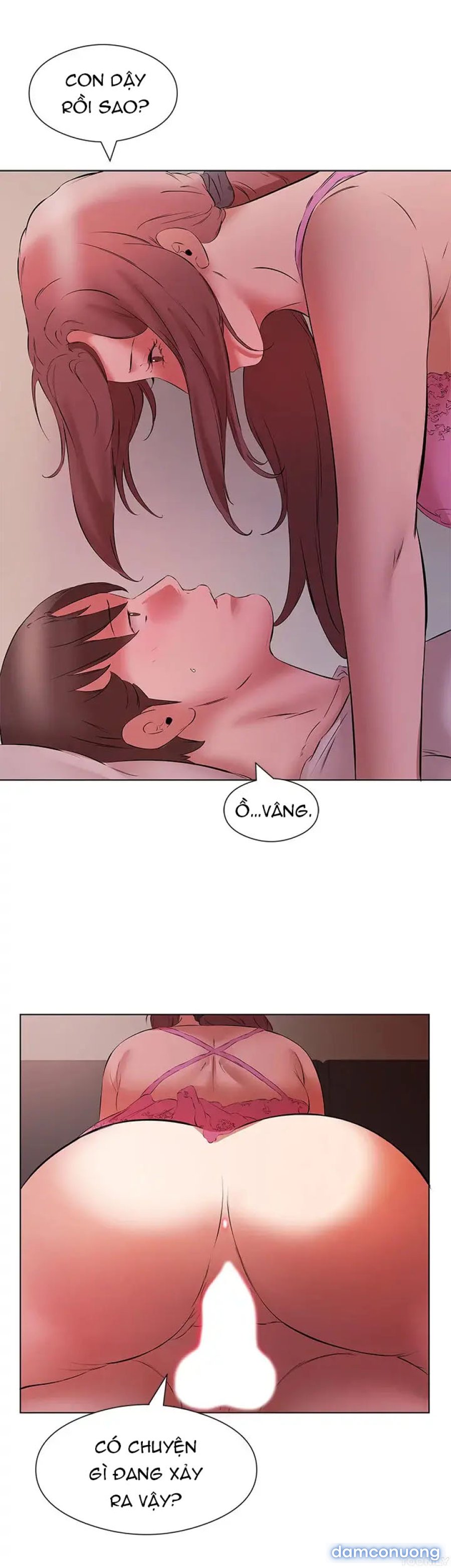 Quý Cô Tầng Dưới 