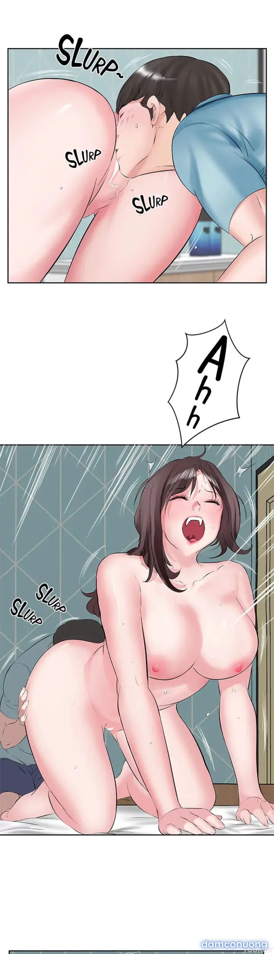 Quý Cô Tầng Dưới 