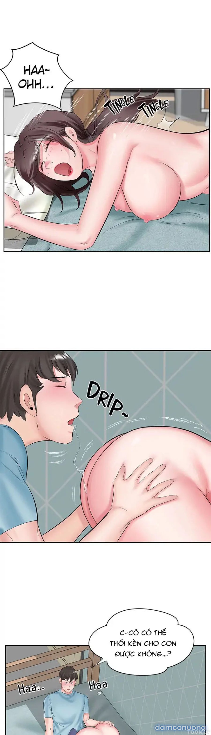 Quý Cô Tầng Dưới 