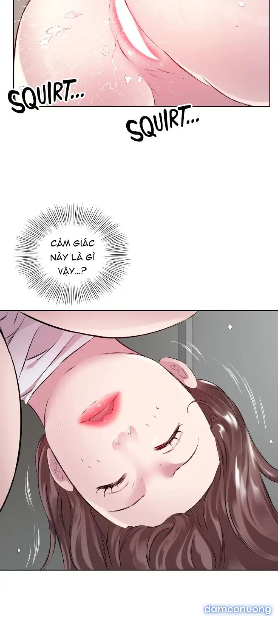 Quý Cô Tầng Dưới 