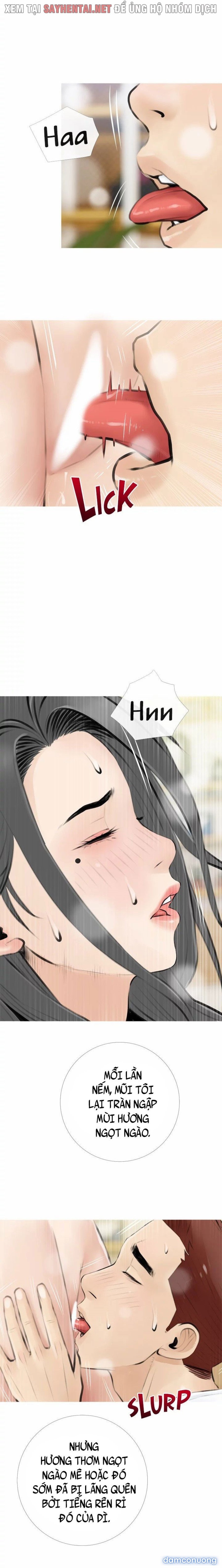 Dập Dì Của Tôi 