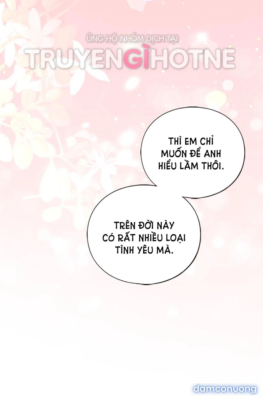 chị kế 