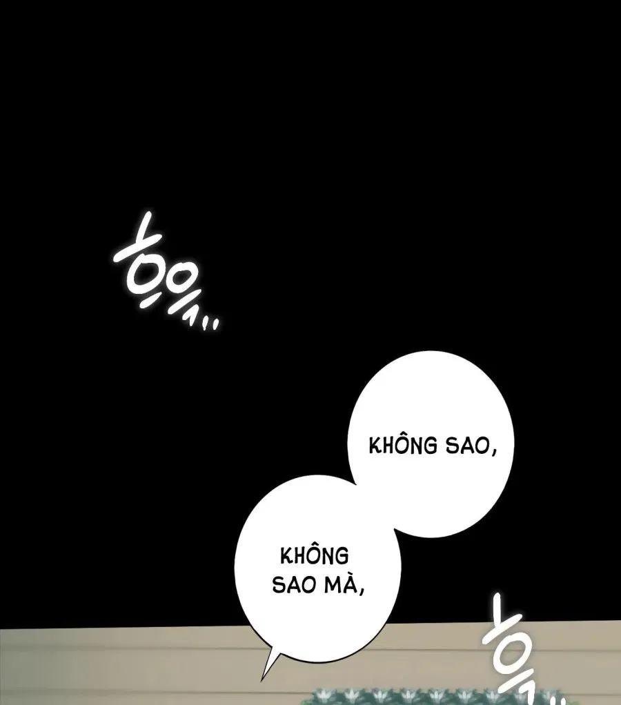 chị kế 